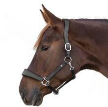 Waldhausen S-Line Anatomic leather halter,