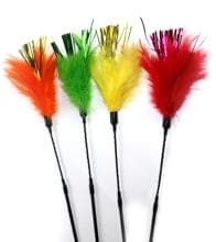 Canna da pesca Schulze Diva cat