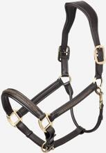 LeMieux Leather Crystal Halter, brown, Cob