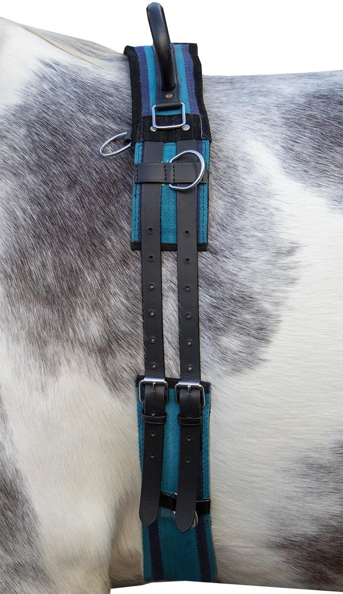 HKM Canvas Longiergurt, Doppelgriff, navy/sky blue, Warmblut