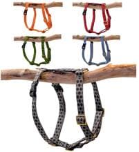 SUCHtrupp Dots Hundegeschirr, gold