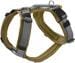 Hunter Maldon Up dog harness