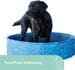KERBL Pet Bubble Hundepool