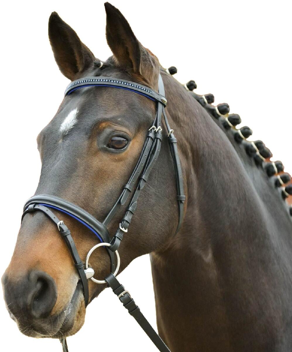 STAR Diamond Trensenzaum engl.komb., blau, Pony