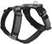 Hunter Maldon Up dog harness