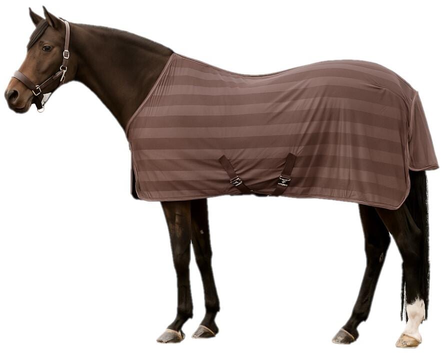Waldhausen Economic Fliegendecke Kreuzbegurtung, mocca, 145cm