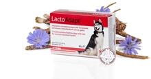Dogoteka LactoAdapt integratore alimentare