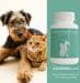 reboVet COLOSTROGuard für Hunde und Katzen, 86g