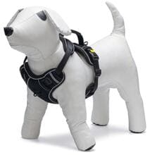 beeztees Parinca Supreme Y-Geschirr, schwarz, 38cm