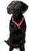 SUCHtrupp Dots pull stop collar, gold