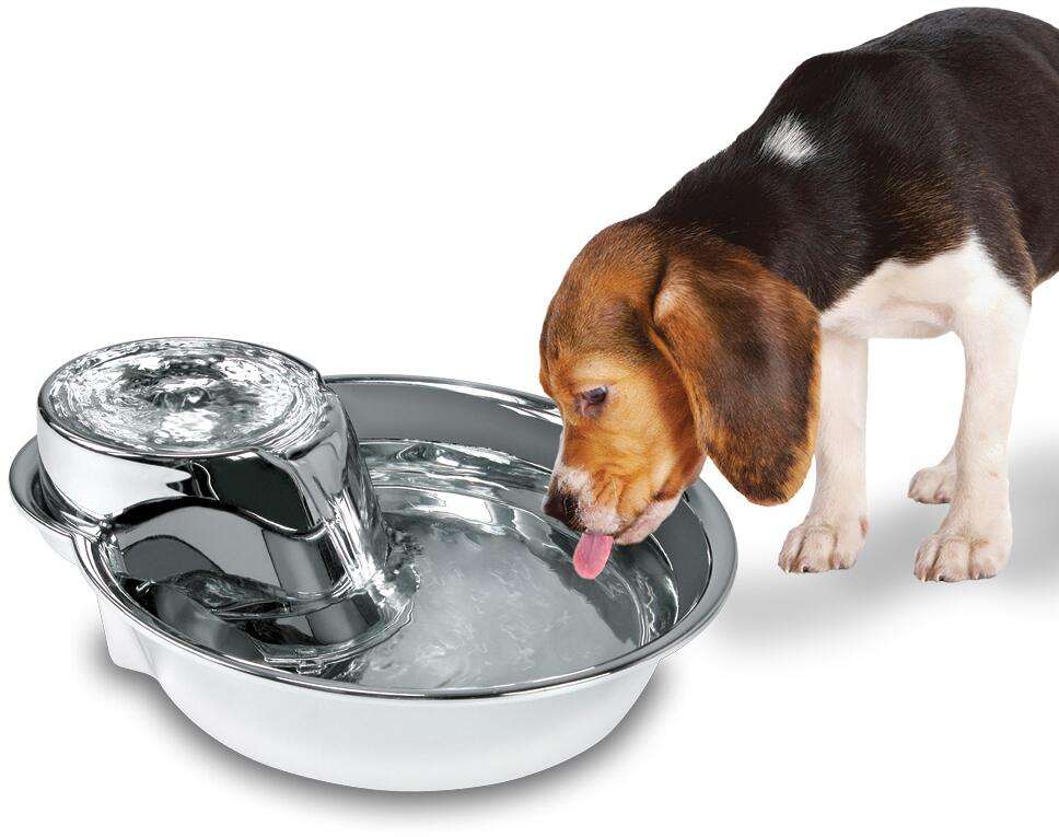 Pioneer Pet Big Max Style Trinkbrunnen, Edelstahl, 3,8L