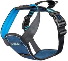 CarSafe Crash Tested Auto Hundegeschirr, blau