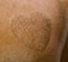 KERBL Scherschablone