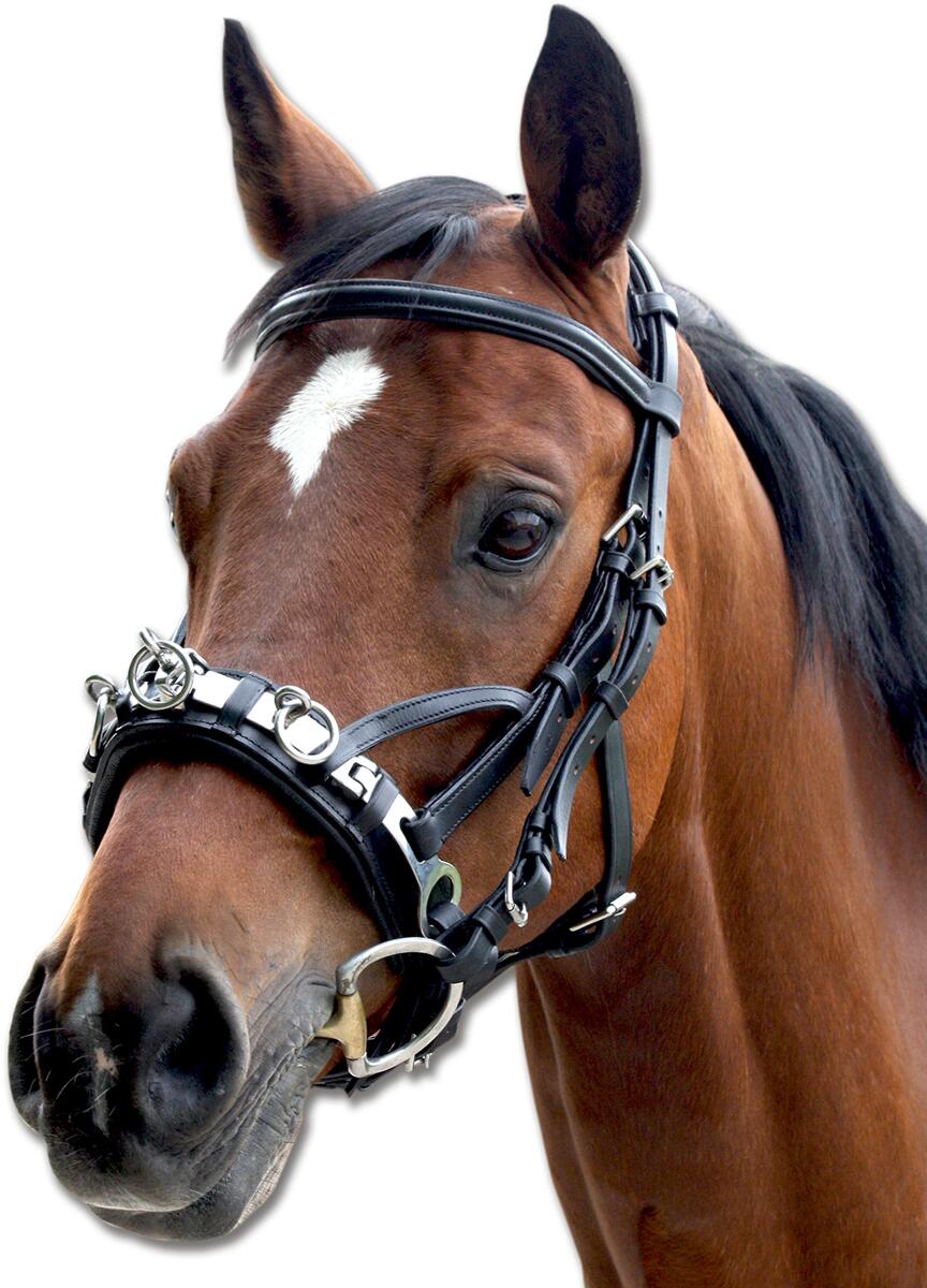 Waldhausen Kappzaum mit Gebissverschnallung, Leder, VB