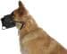 KERBL Pet Leather Muzzle