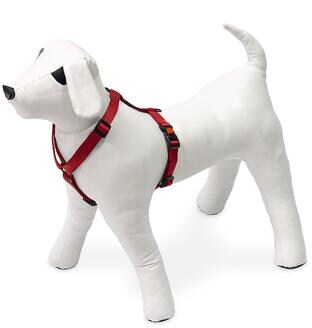 Karlie ASP GESCHIRR ROT 45-70