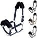 Cavezza Covalliero ClassicSoft