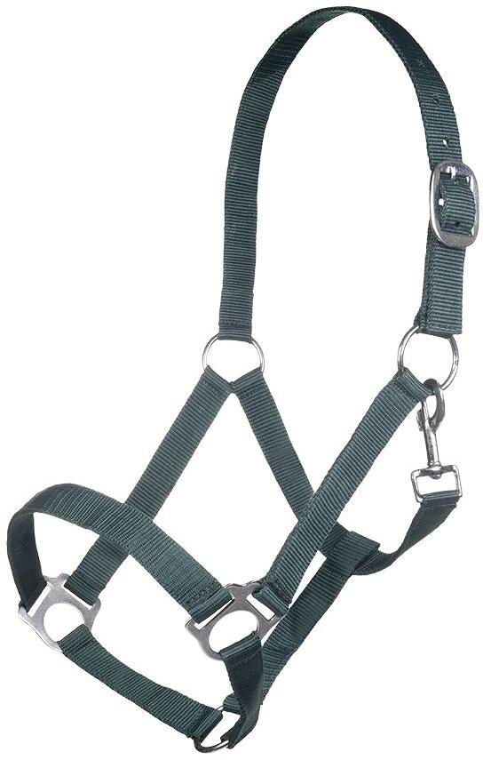 HKM Brisbane Halfter, dunkelgrün, Vollblut