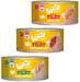 WOW Premium Fillet cibo umido