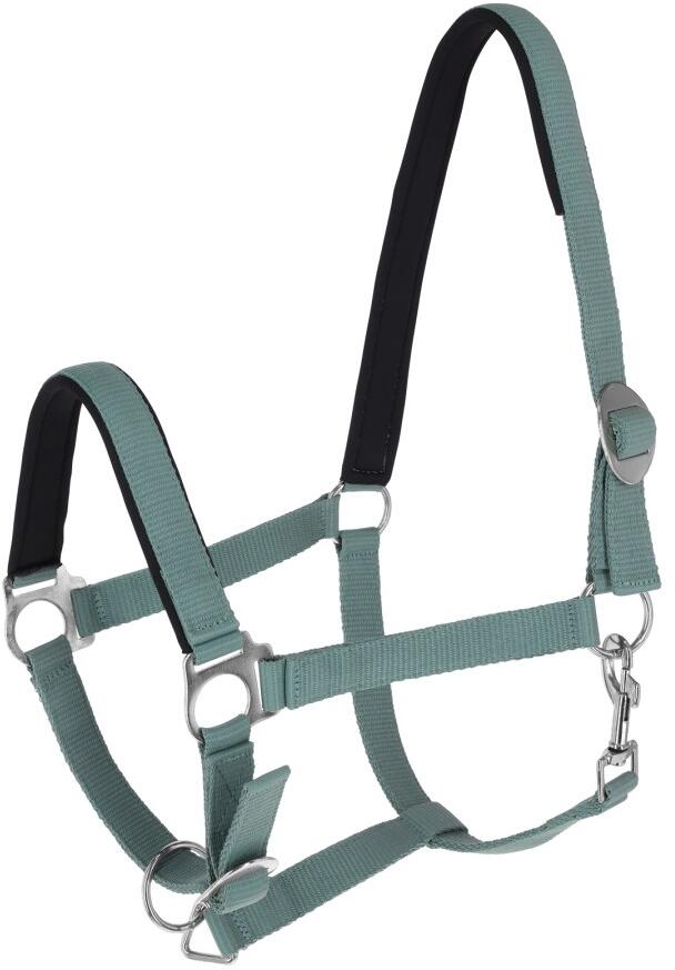 Covalliero Doria Halfter, jade, Cob