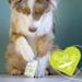 GRAU Vitamin Booster Tabletten