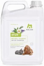 Mealson 4Fur Kamille, Lavendel & Rosmarin Shampoo, 5000ml