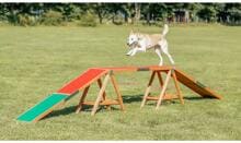Trixie Fun Agility Bridge, 456x64x30cm
