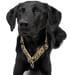 SUCHtrupp Leo pull stop collar