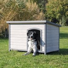 Trixie natura Classic flat roof dog kennel, L/116x82x79cm, grey