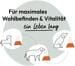 GRAU Hokamix Vitality Booster Ergänzungsfuttermittel