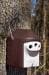 Schwegler nesting box 2GR, three-hole