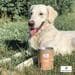 Lievito di birra in polvere Paws & Patch