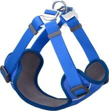 Pettorina per cani Red Dingo Padded Step-In, imbottita, blu elettrico, taglia M, 46-63 cm