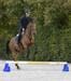 Waldhausen Cavaletti-Block