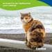 Olio di salmone Canina
