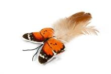 beeztees PL KSP SCHMETTERLING FLIGO ORA 8