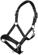 HKM Catherine cavezza, nero, pony