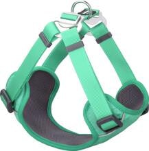 Pettorina per cani Red Dingo Padded Step-In, imbottita, verde pastello, taglia S, 36-50 cm