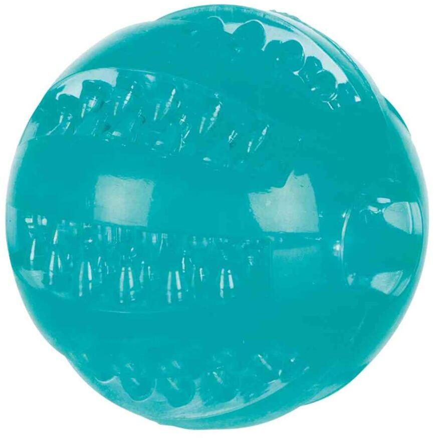 Trixie Denta Fun Ball, Minzgeschmack, TPR, ø6cm