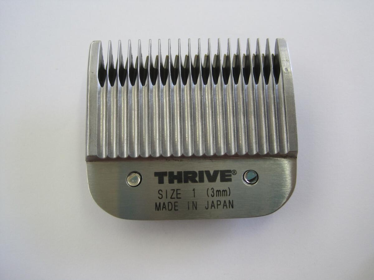 Thrive 808 Scherkopf, 3mm, grob