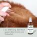 cdVet VeaVet Lebermoos Spray