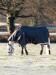 LeMieux Kudos Weidedecke inkl. Halsteil, navy