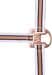 Cavezza Waldhausen Shine