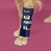 Balto Bone Splint Radius and Ulna | Beinbandage für Hunde