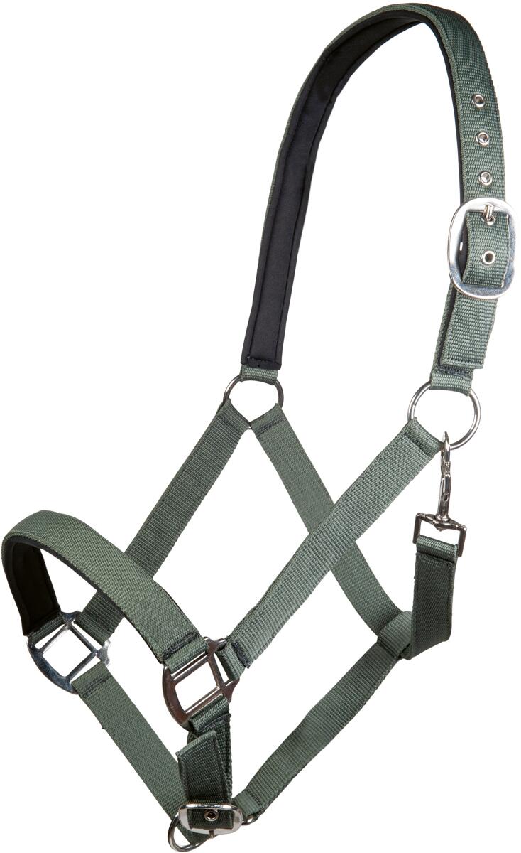 HKM Charming Halfter, weich unterlegt, rauchgrün, Pony