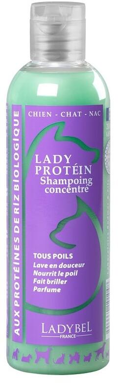 LadyBel Lady Protein Hundeshampoo, 20L