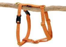 Pettorina per cani SUCHtrupp Dots, oro, arancio-beige, L