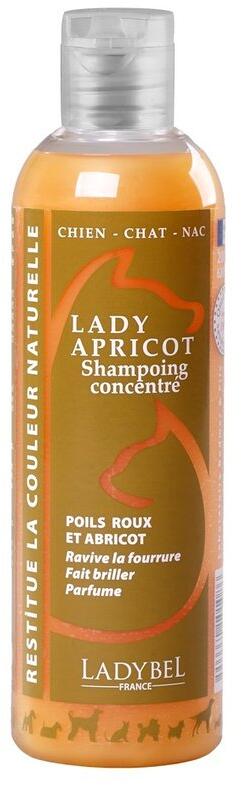 LadyBel Lady Apricot Hundeshampoo, 4L