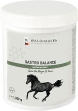 Waldhausen Gastro Balance Pulver, 1kg