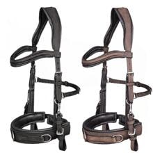 Waldhausen Lederkappzaum, anatomic